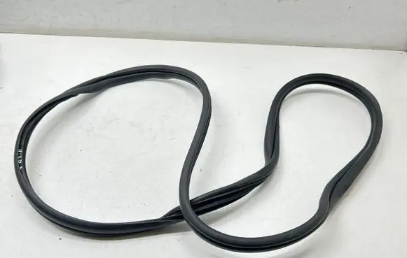 Rear door rubber seal (on body)