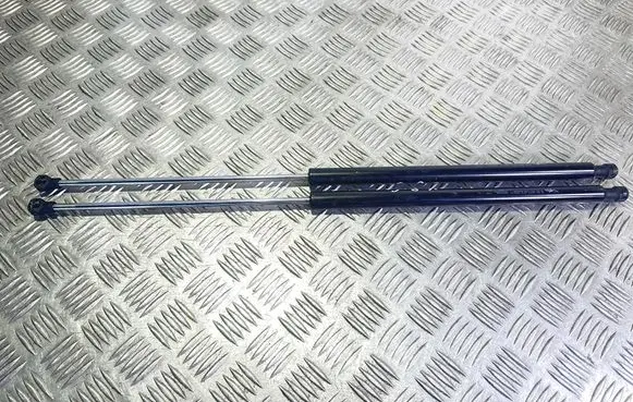 Peugeot 207 CC Tailgate strut 9686030580
