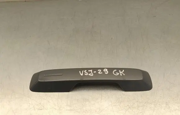 Polestar 2 Rear door handle cover 102327