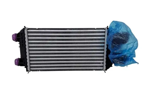 Opel Corsa F Intercooler radiator 9824742280 JD1271006520