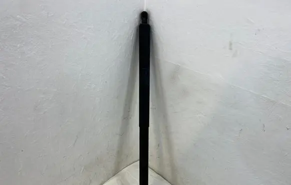 Tailgate/trunk strut/damper