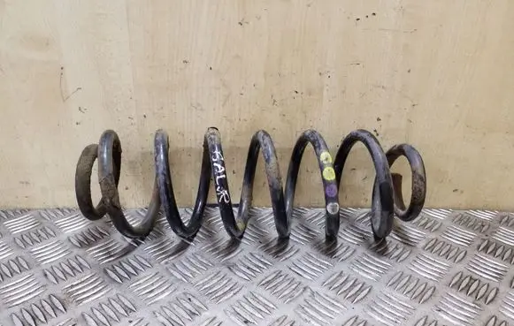 Volkswagen PASSAT B7 Rear coil spring