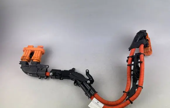 Audi Q4 e-tron Other wiring loom 1EA971015BD 1EE971896H