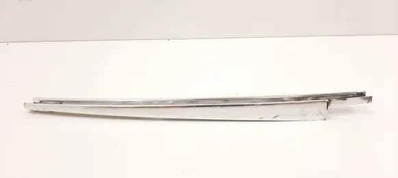 Rear door glass trim molding