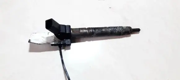 Chrysler 300 - 300C Fuel injector a6420700587 0445115027