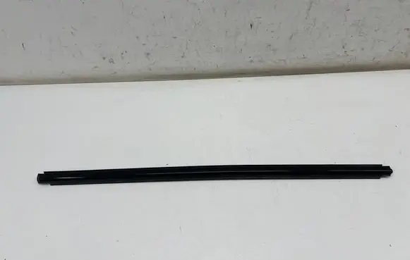 Ford Mustang Mach-E Front door glass trim molding LJ8BR20562AD