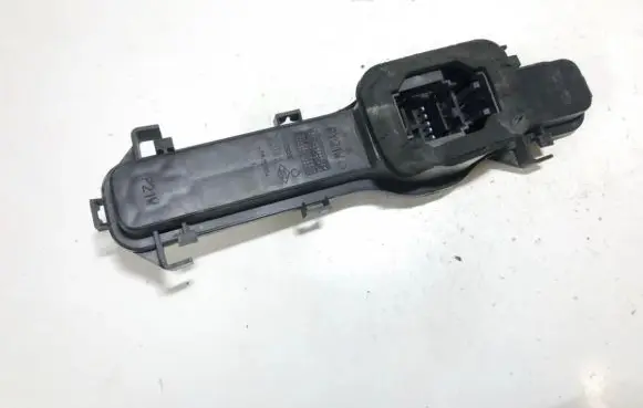 Renault Espace - Grand espace IV Tail light bulb cover holder 89023832