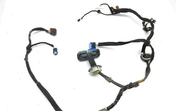 Citroen DS5 Front door wiring loom 9807405180 55DYD1005