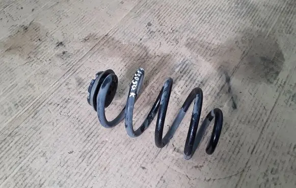 Nissan Leaf I (ZE0) Rear coil spring NOCODE