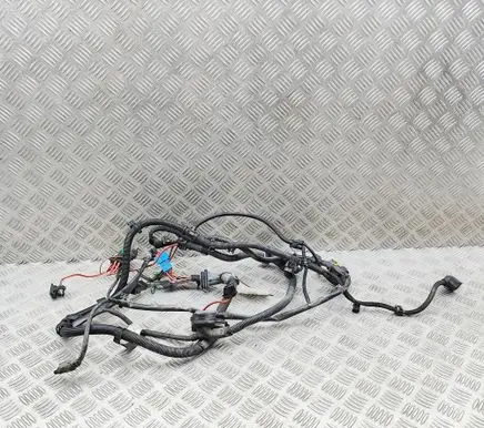 BMW 5 F10 F11 Other wiring loom 8581839
