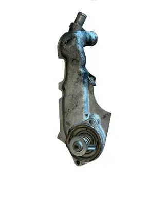 Thermostat/thermostat housing