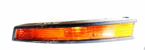 Volkswagen PASSAT B6 Front indicator light 3c0953042j