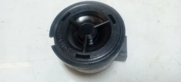 Front door high frequency speaker