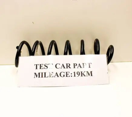 Rear coil spring