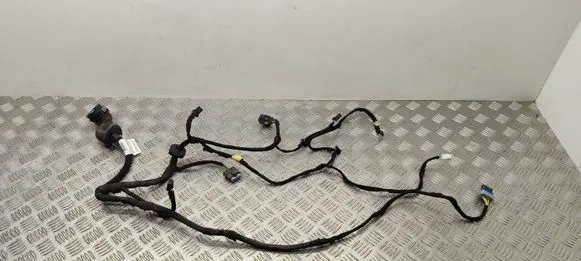 Citroen C5 Front door wiring loom 9675031380