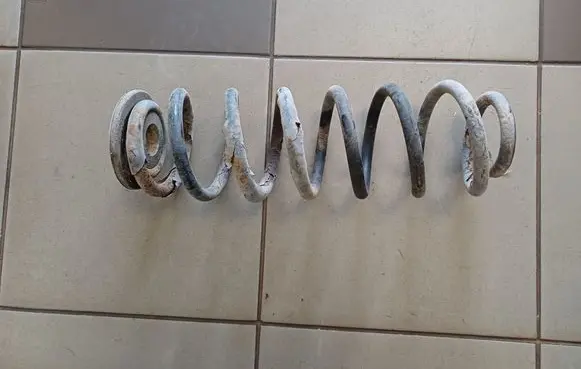 Rear coil spring