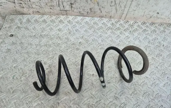 Front coil spring