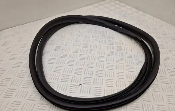 Renault Scenic E-Tech V Front door rubber seal 