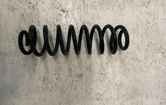 Toyota RAV 4 (XA50) Rear coil spring 
