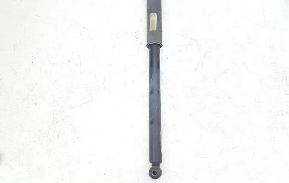 Ford C-MAX II Rear shock absorber/damper FV6118080 FV6118080NAG 8V6118159
