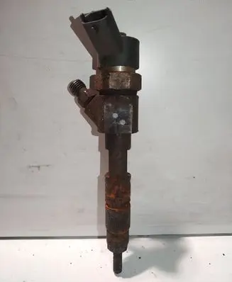 Renault Scenic II - Grand scenic II Fuel injector 0445110110