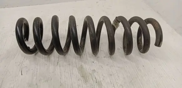 Rear coil spring