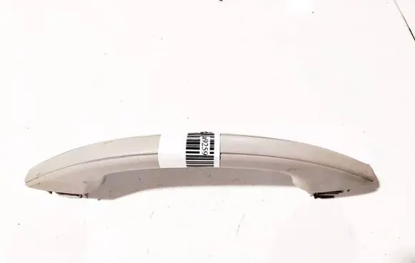 Renault Espace - Grand espace IV Front interior roof grab handle 8200051169