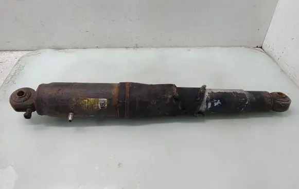 Lexus RX 450H Rear shock absorber/damper