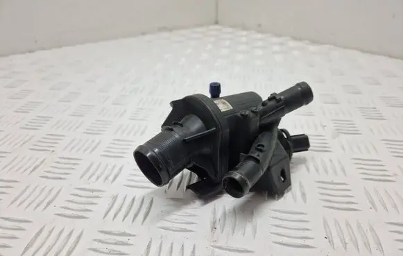 Renault Master III Thermostat 1705311222