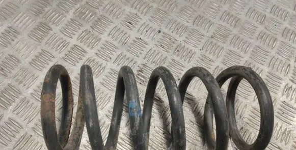 Hyundai Santa Fe Rear coil spring