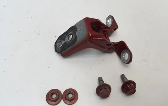 Nissan Juke II F16 Rear door lower hinge