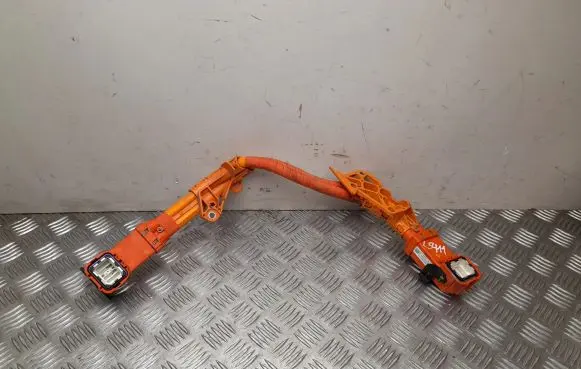 Tesla Model Y Other wiring loom 110900000E