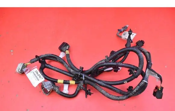 Tesla Model Y Other wiring loom 248905901B