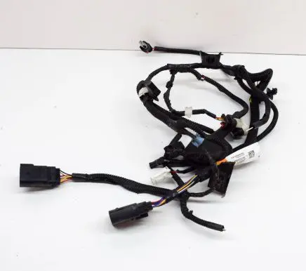 Tesla Model Y Other wiring loom 248905000A
