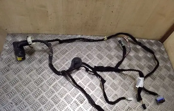 Front door wiring loom