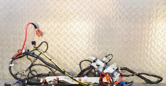 Tesla Model 3 Other wiring loom 306795503C