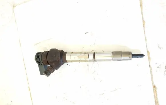 Volkswagen Tiguan Fuel injector 0445110469 25121022