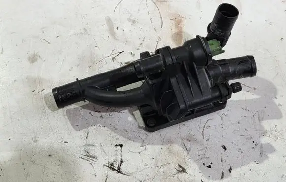 Thermostat/thermostat housing