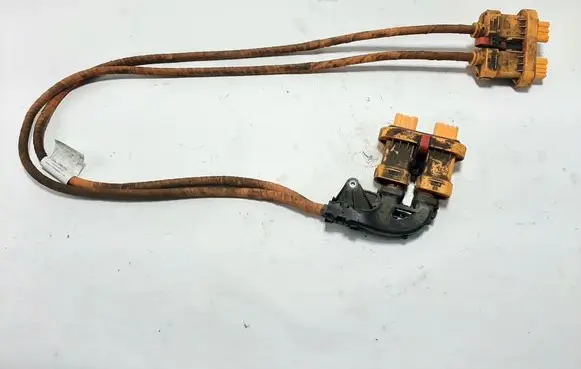 Volkswagen ID.3 Other wiring loom 1EA971015T