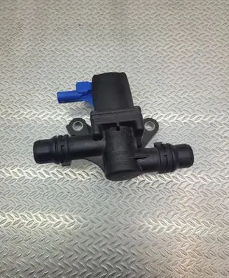 DS Automobiles 3 Crossback Electric auxiliary coolant/water pump 9839741280