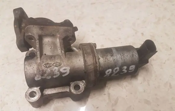 KIA Sorento EGR valve 284104A410
