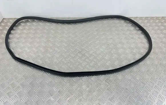 MG EHS Rear door rubber seal (on body) 10367145