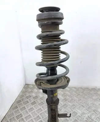Opel Zafira C Front shock absorber/damper G8195