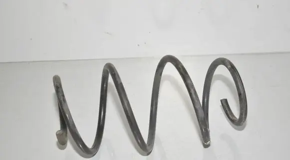 Front coil spring
