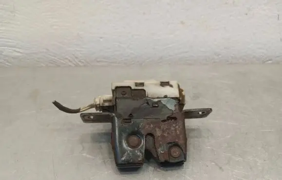 Renault Scenic II - Grand scenic II Loading door lock 