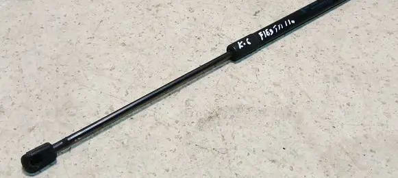 Tailgate/trunk strut/damper