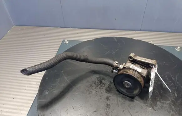 Fiat Ducato Power steering pump