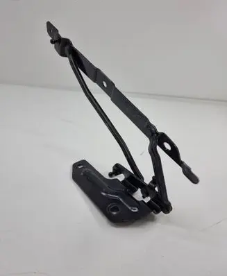Jaguar F-Type Tailgate/trunk/boot hinge Ex5342700ad