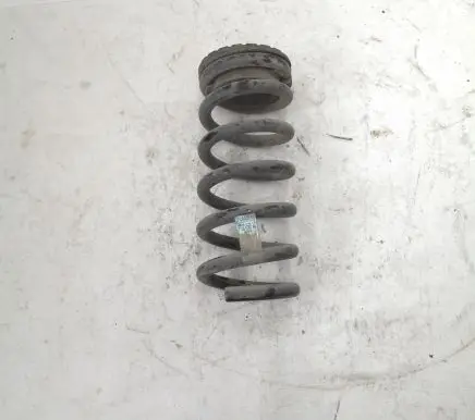 Ford Mustang VI Rear coil spring FR3C5560AC