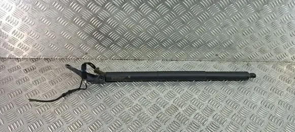 BMW X2 F39 Tailgate/trunk strut/damper 17893910